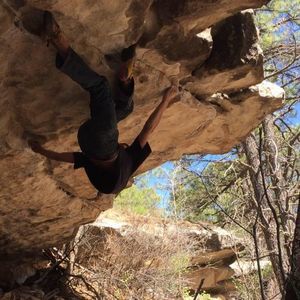 Meet your Posher, Jake